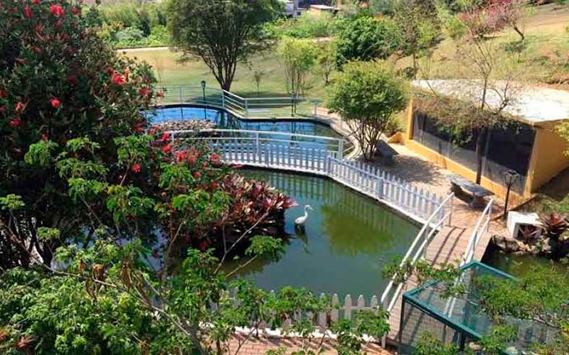 floricultura-cemiterio-valle-dos-reis