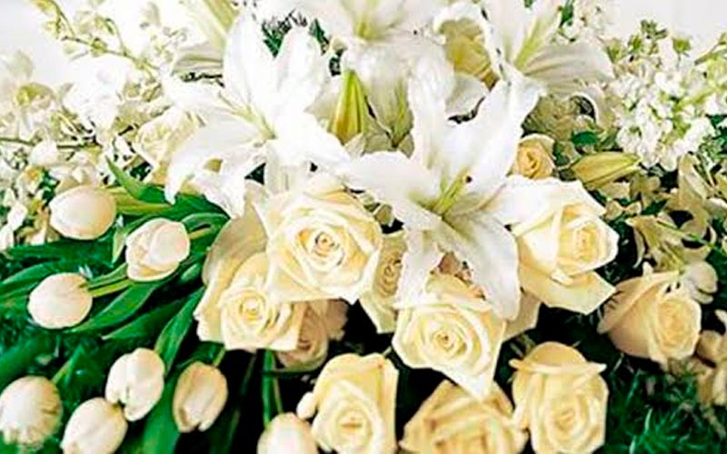 floricultura-cemiterio-vila-alpina