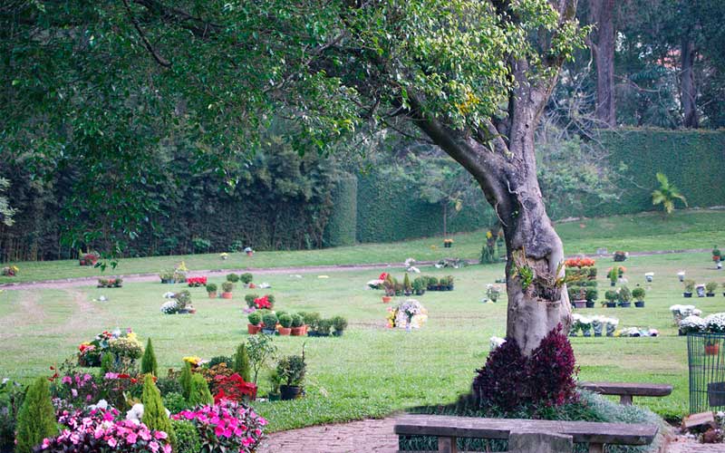 cemiterio-morumbi