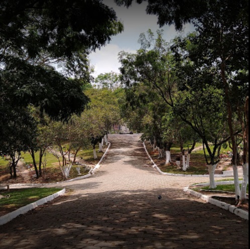 coroa de flores cemitério jesuitas