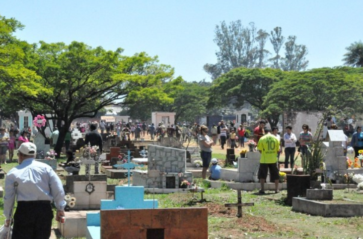 floricultura cemiterio campo grande